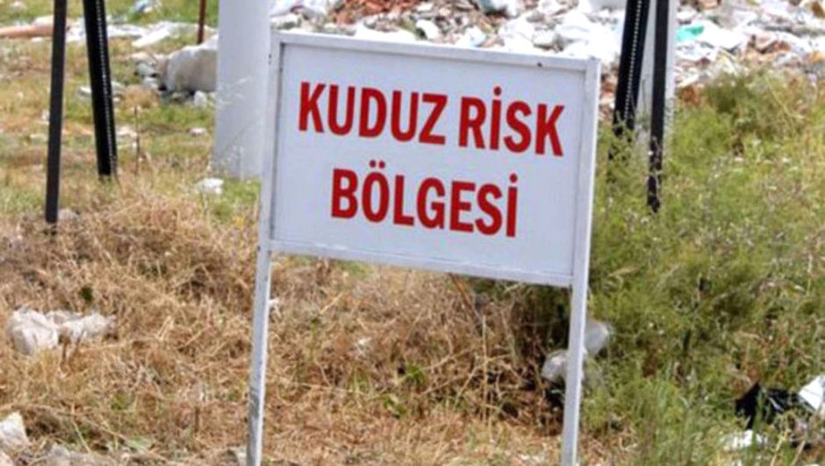 Bursa\'da Kuduz Vakası Görülen Köyler Karantinaya Alındı