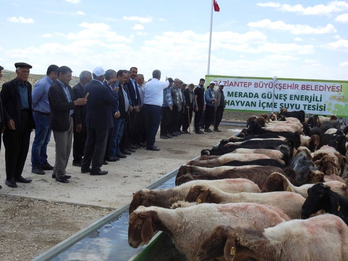 Büyükşehir\'den Güneş Enerjili İçme Suyu