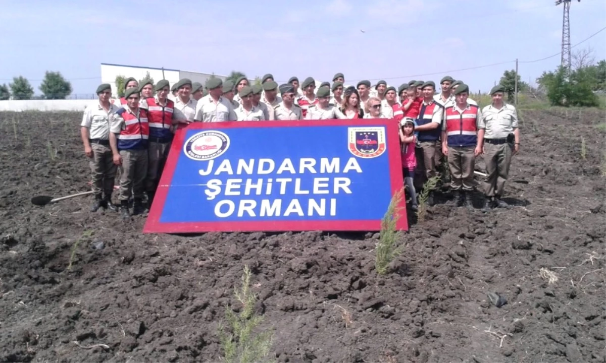 Jandarma Şehitler Adına Hatıra Ormanı Oluşturuyor