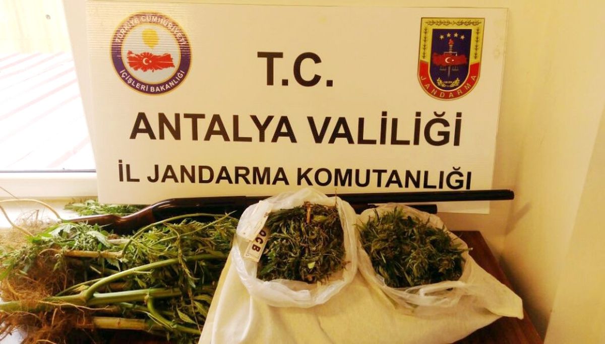 Jandarmadan Uyuşturucu Operasyonu