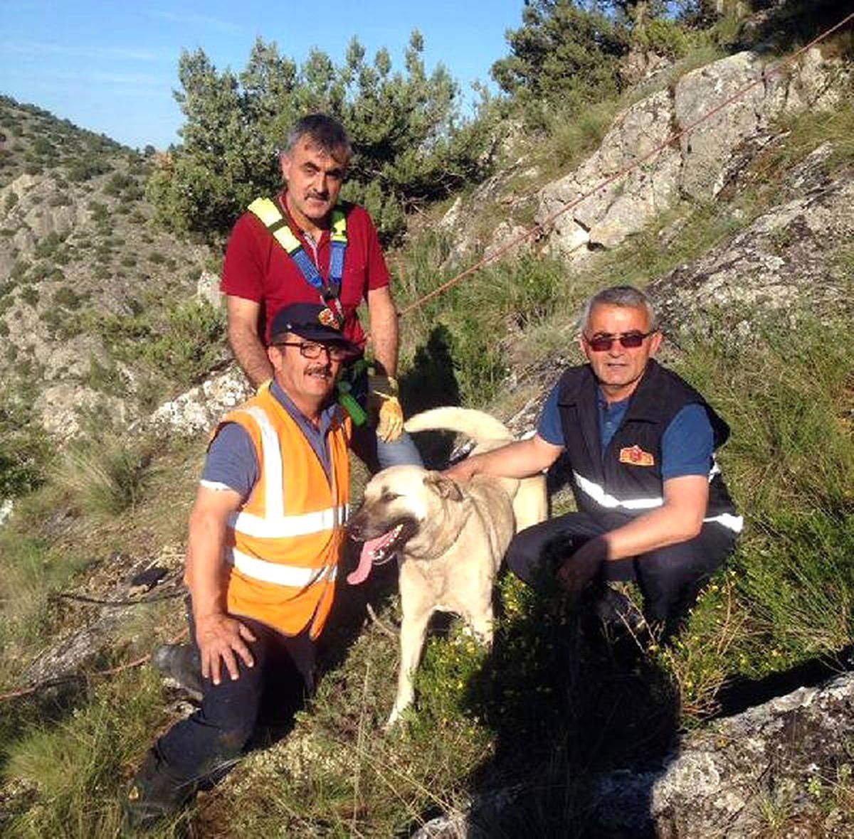 Kayalıklarda Mahsur Kalan Köpeği İtfaiye Kurtardı