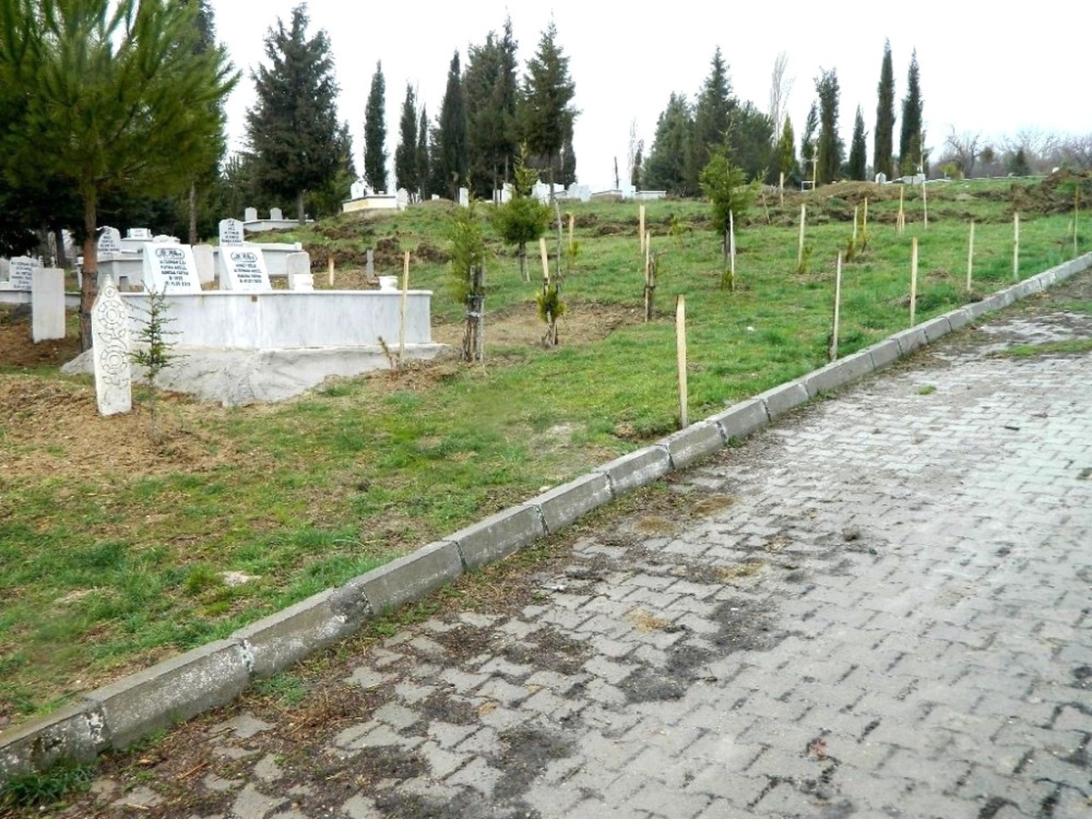 Kütahya\'da 8 Mezarlığa 4 Bin 433 Adet Fidan Dikildi