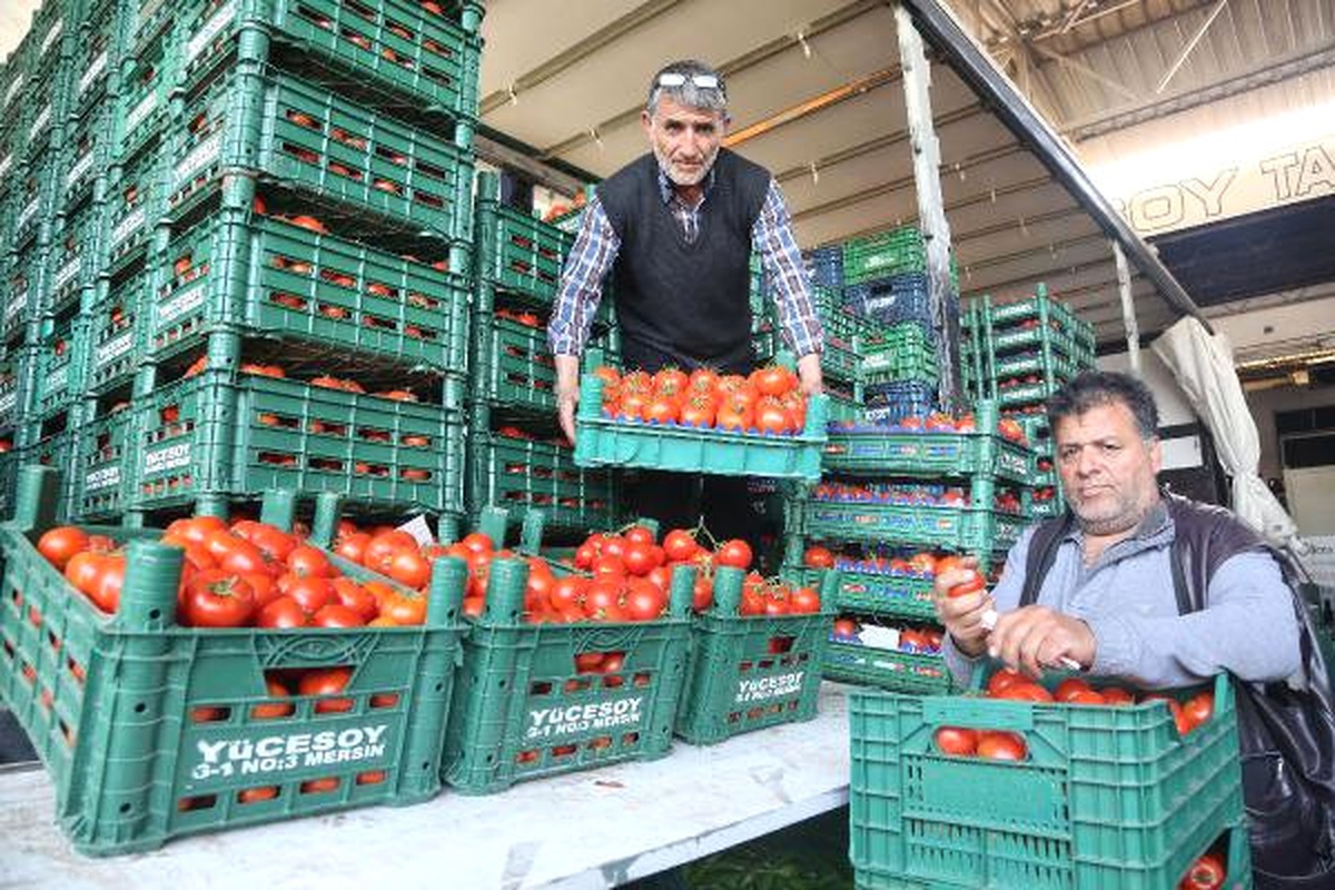 Manav- Pazar Fiyatına Toptancı İsyanı: Yüzde 300 Farkla Satıyorlar