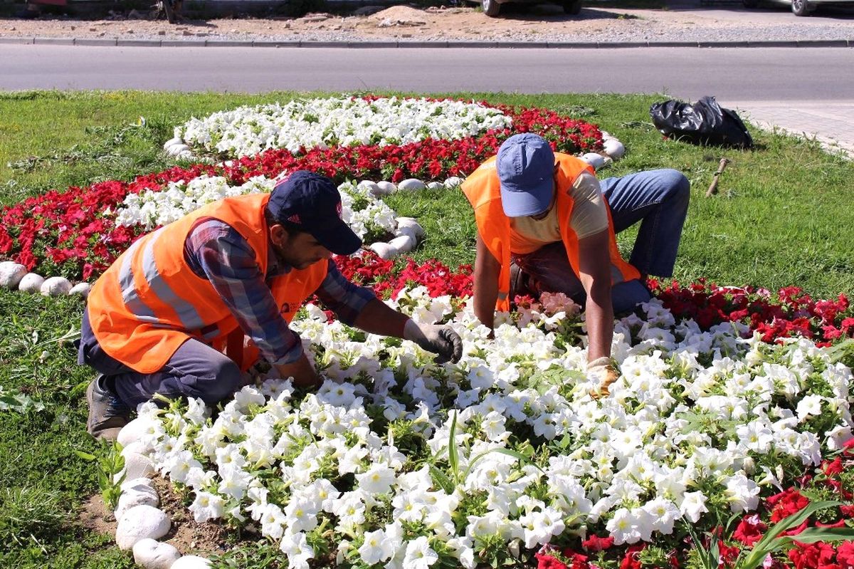 Manavgat\'ta 186 Bin Mevsimlik Çiçek