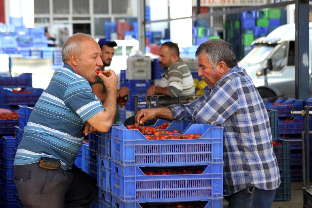 Rusya Kapısı Açılmazsa Domatesler Salça Olacak