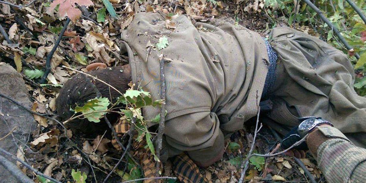 Tunceli\'de 1 PKK\'lı Öldürüldü