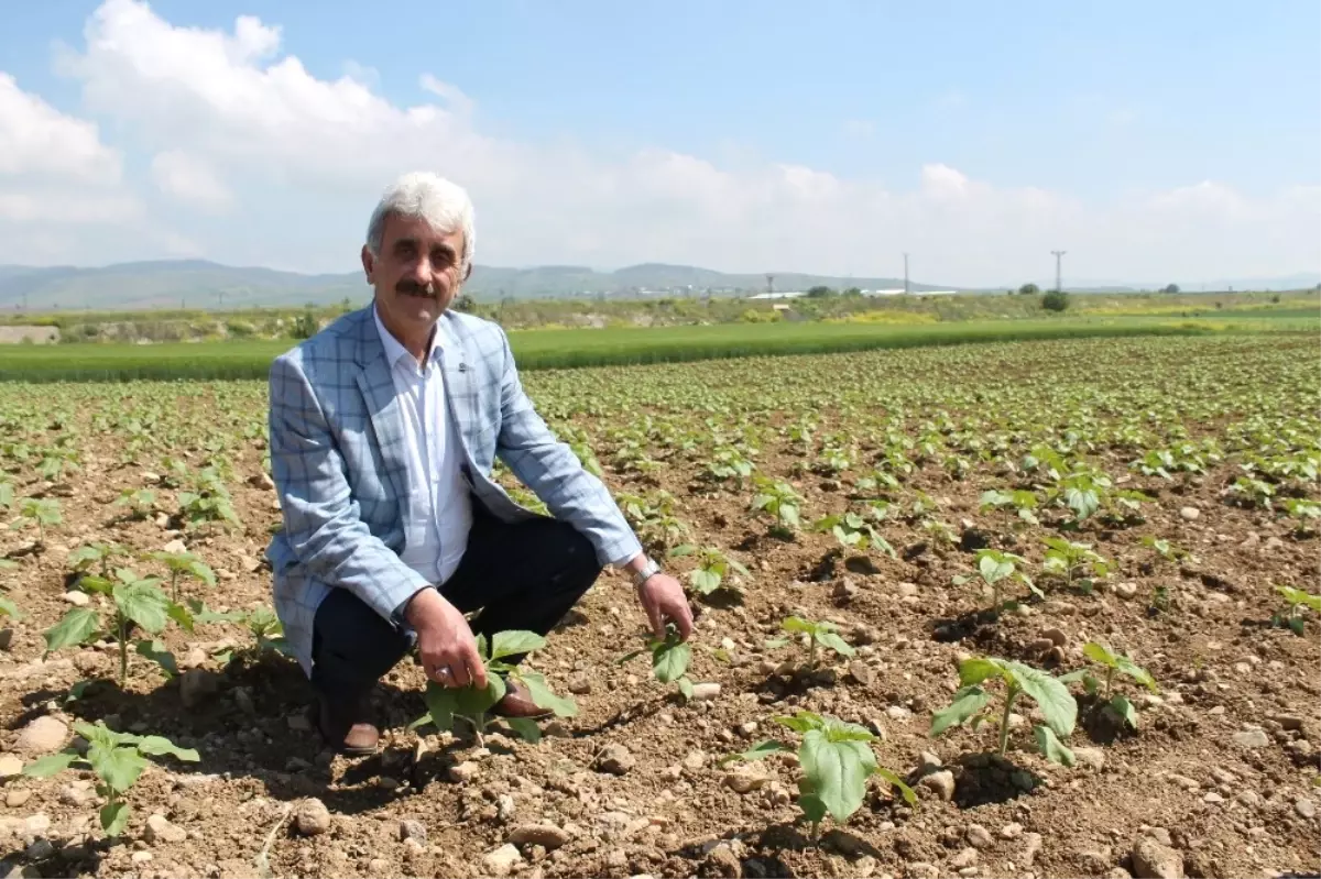 Yenişehir\'de 400 Bin Dekar Alan Suya Kavuşuyor