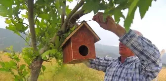 Yüksekokul Öğrencilerinden Kuşlar İçin Yuva