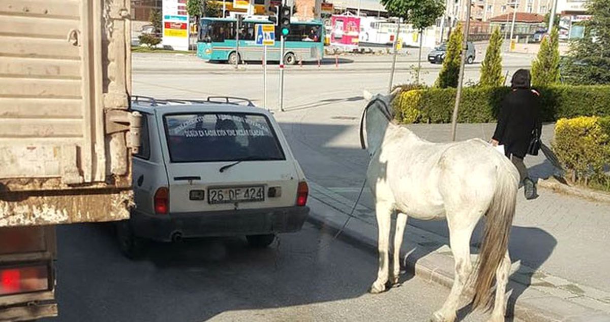 Eskişehir\'de Yürek Sızlatan Görüntü