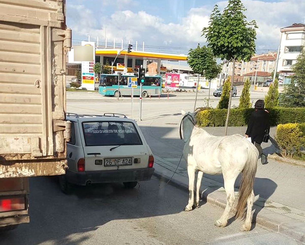Eskişehir\'de Yürek Sızlatan Görüntü