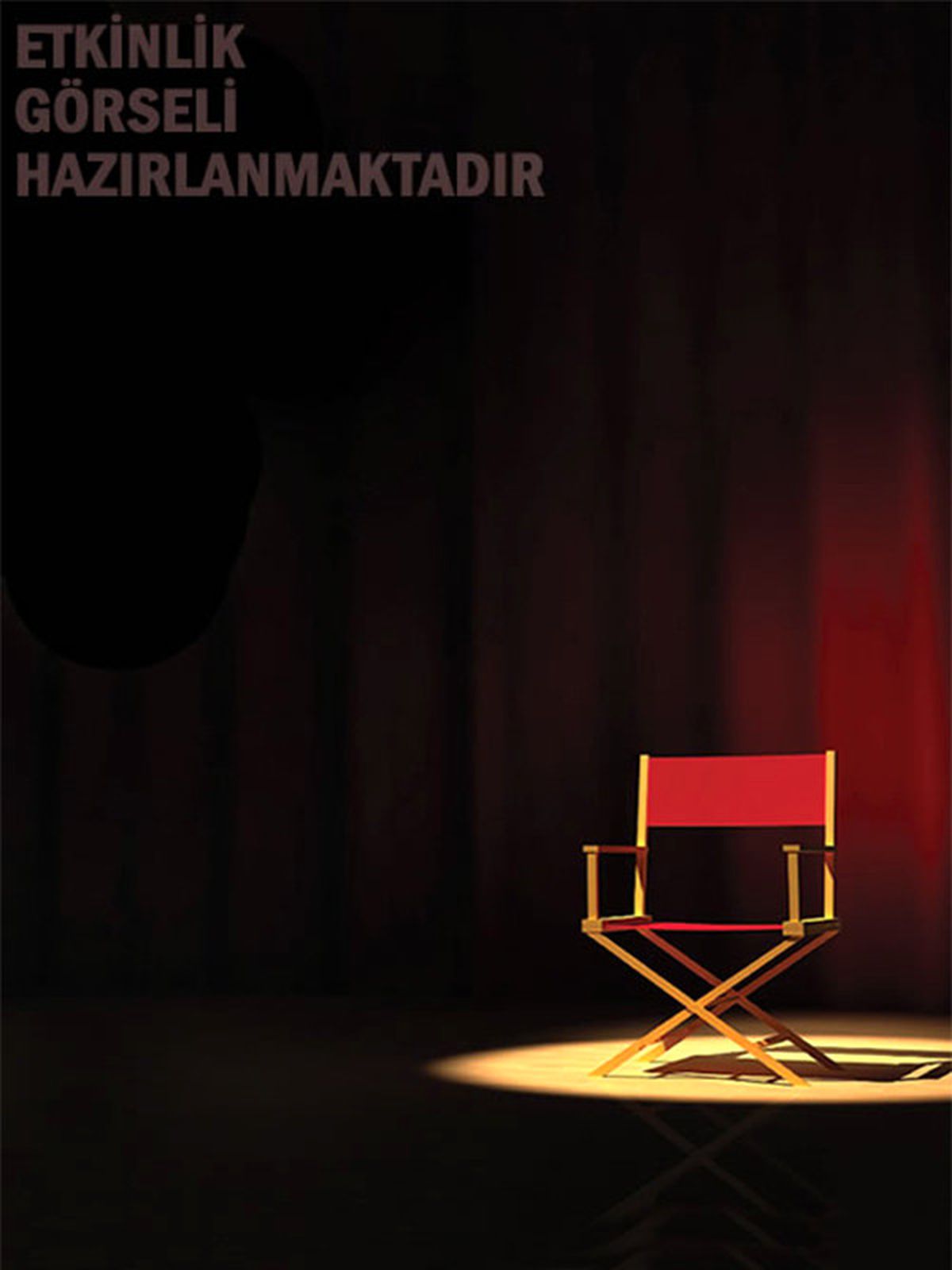 Güneşin Zaptı