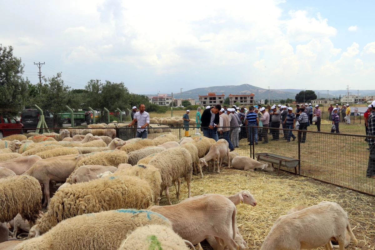 Kırsalda Kalkınma Desteğine Devam