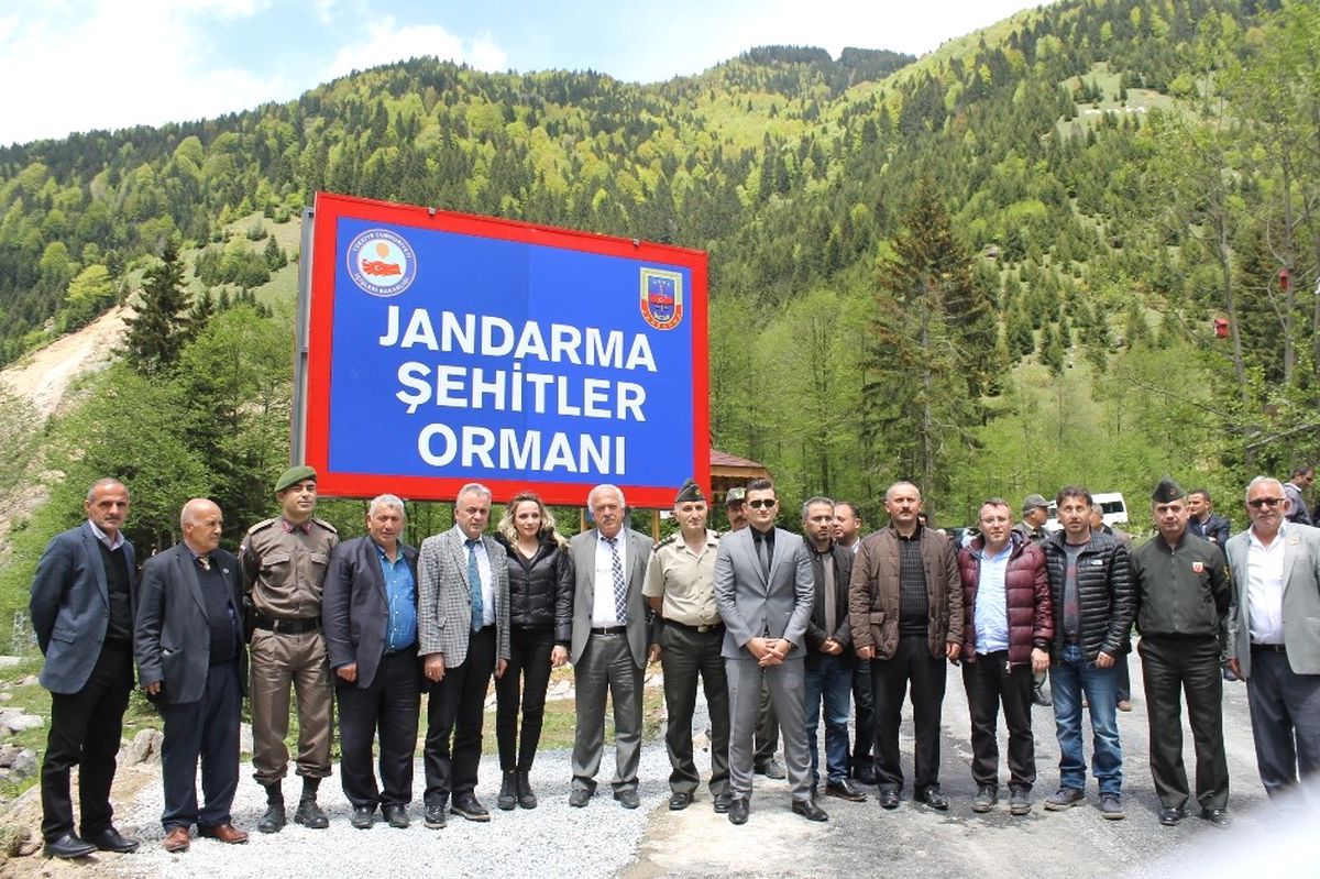 Rize\'de Jandarmadan Şehitler Ormanı