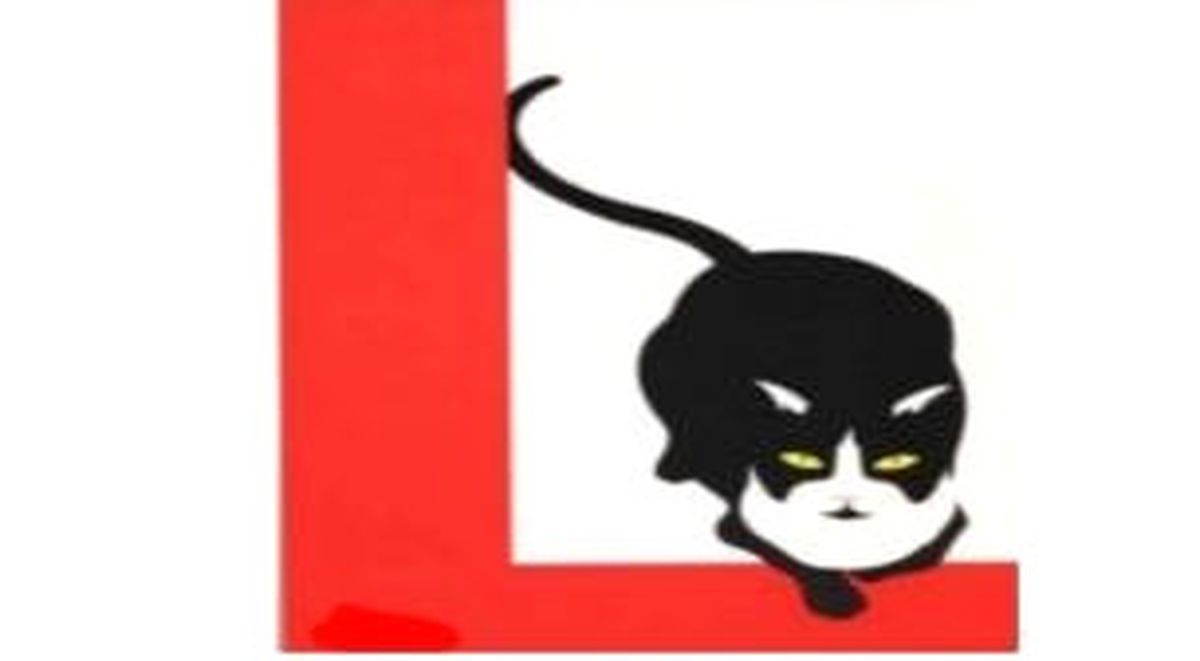 Seramik Atölyesi Kedi