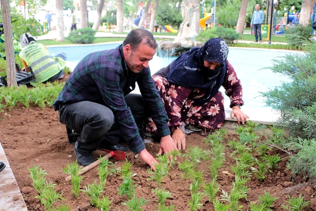 Sınırın Sıfır Noktasında Çiçek Ekimi