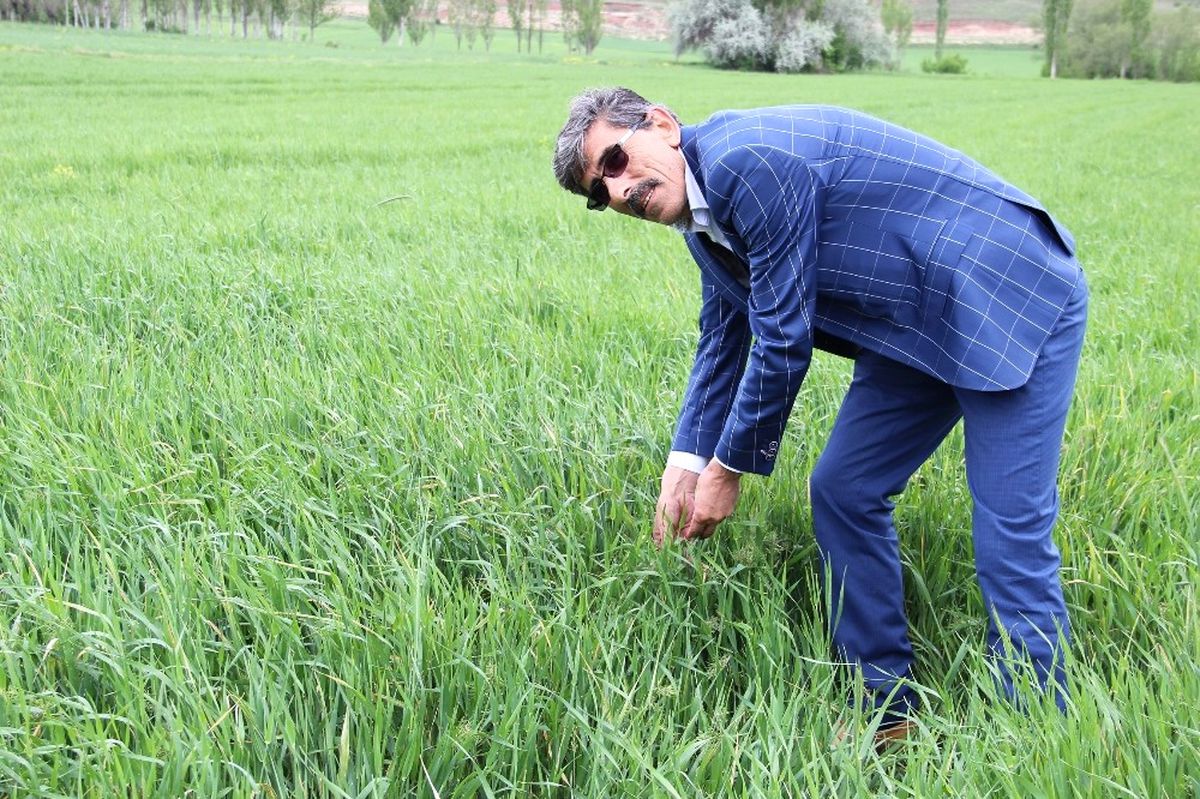 Yağmur Çiftçinin Yüzünü Güldürdü.