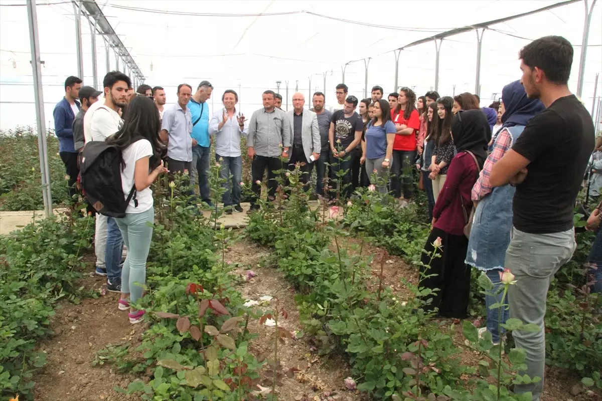 Yalova Kesme Çiçek Üretiminde Kabuğunu Kırdı"