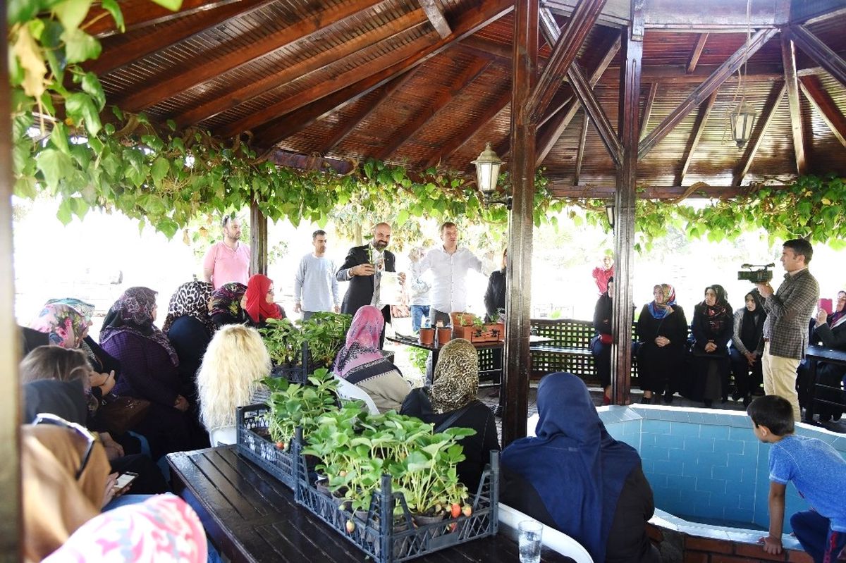 İzmit\'te Balkonlarda Organik Sebze Yetişecek