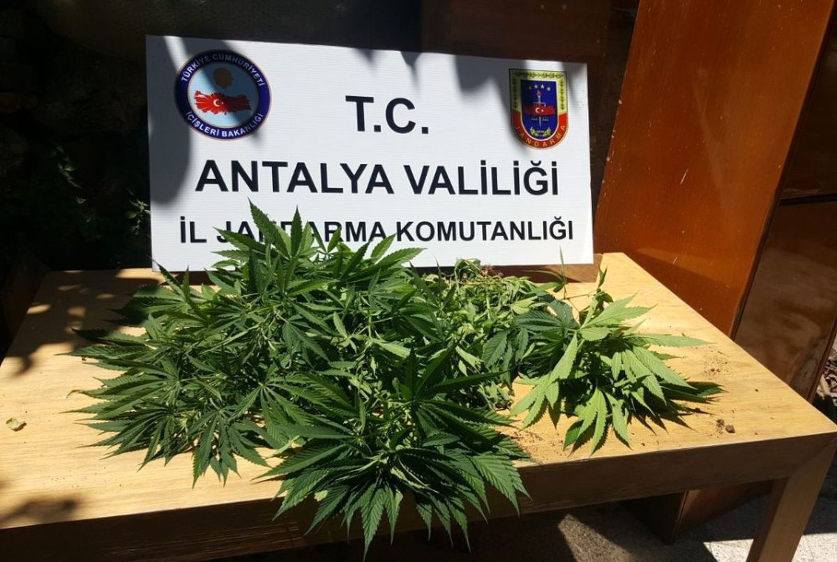 Jandarmadan Hint Keneviri Operasyonu