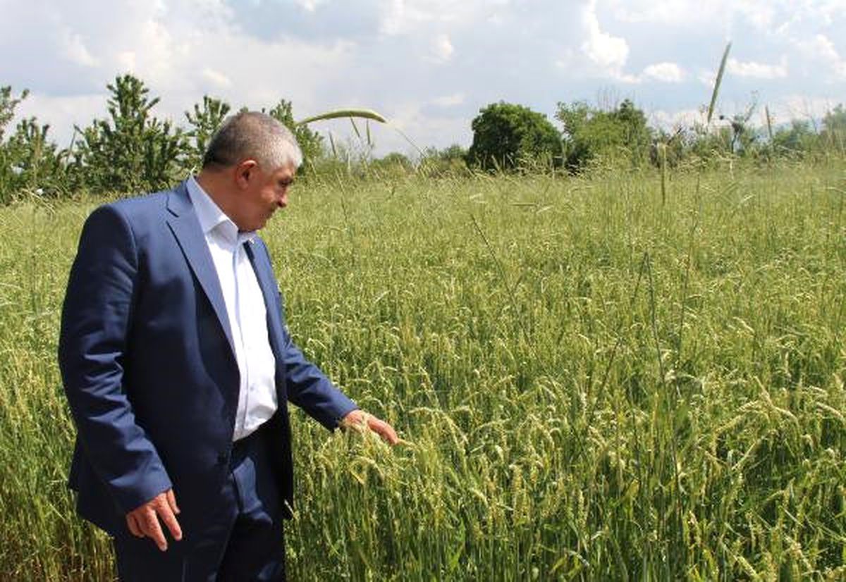 Burdur\'da Dolu Zararı 1 Milyon Lira
