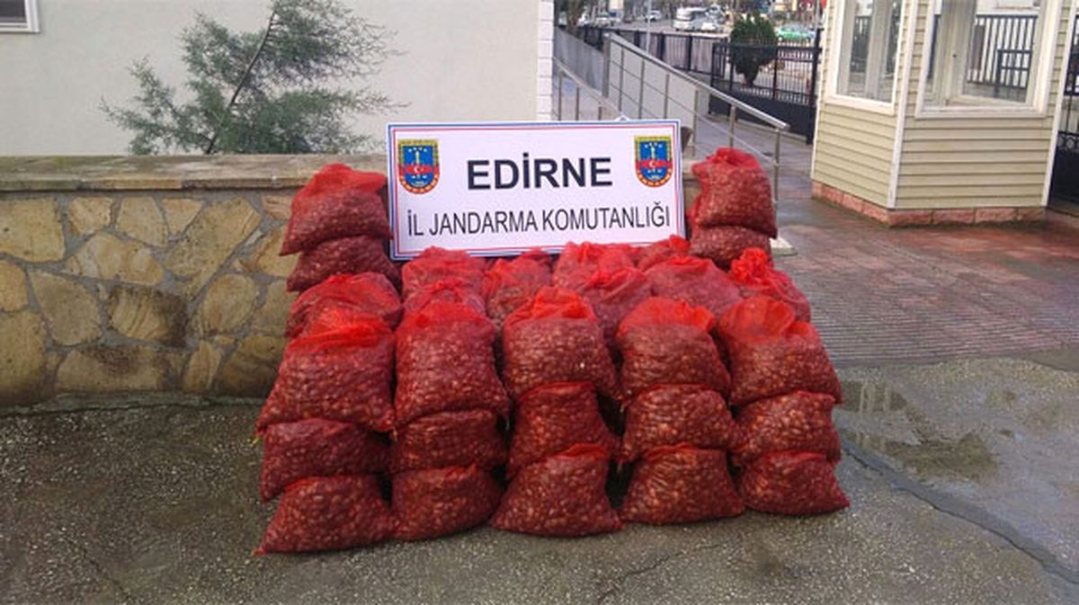 Edirne\'de 500 Kilo Kaçak Midyeye, 3 Bin 619 Lira Ceza
