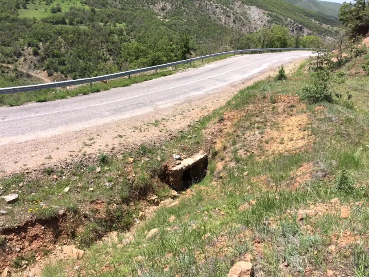 Hainlerin Kanlı Planı Son Anda Önlendi