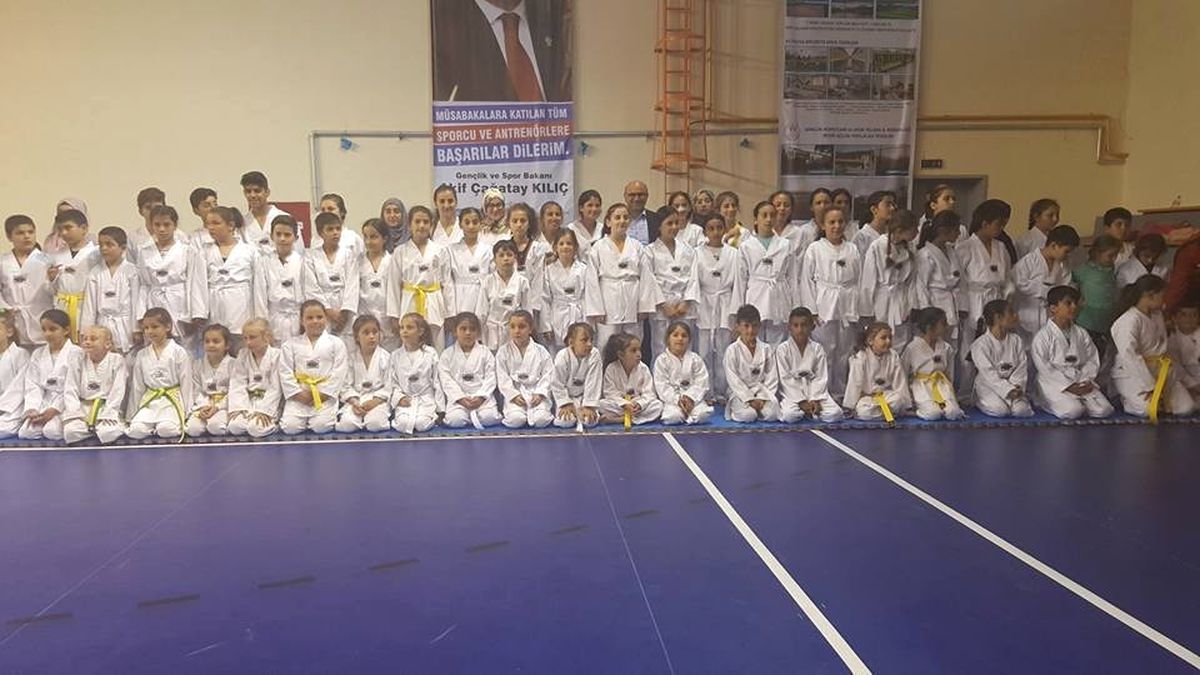 Altınova\'da Tekvandocular Kuşak Atladı