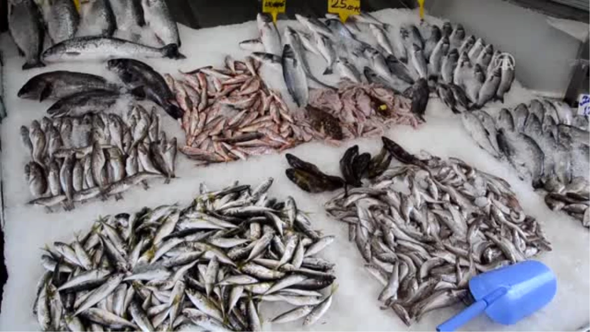 Balık Fiyatlarında "Ramazan" Indirimi