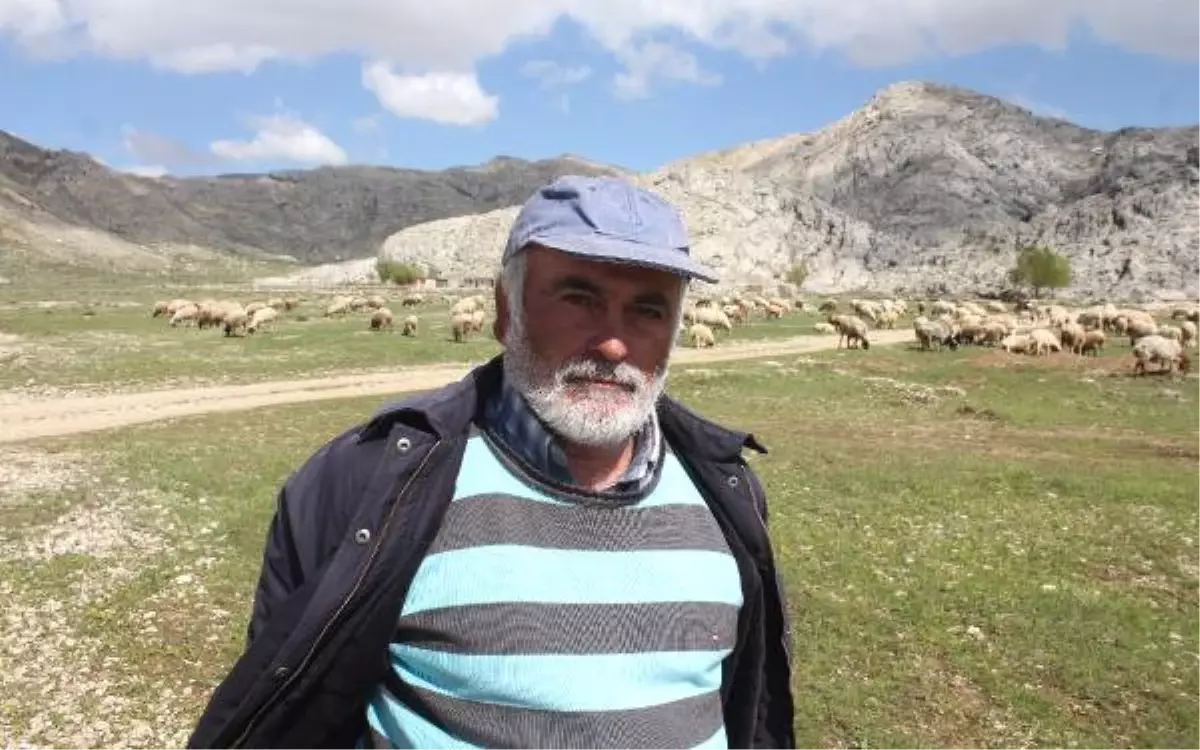 Gazipaşa\'da Yörükler Yaylaya Göç Ediyor