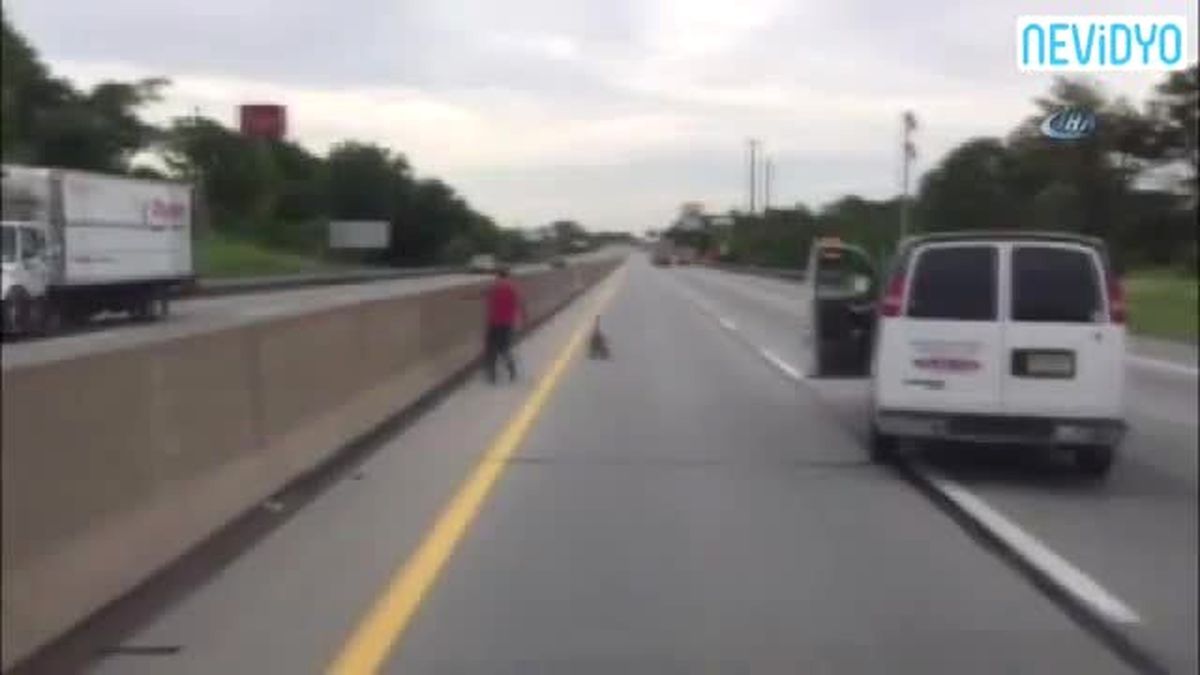Kaz Ailesi Otobanda Trafiği Durdurdu