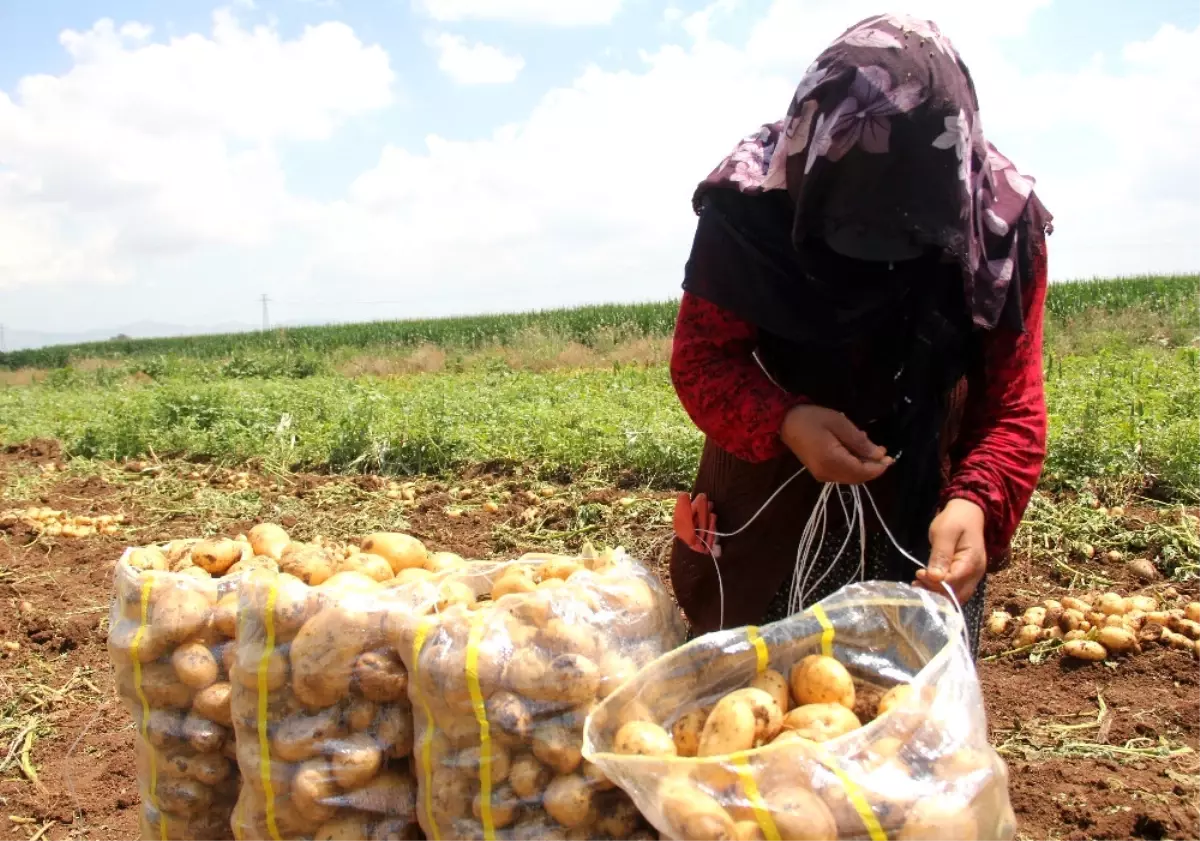 Ramazan\'da Kadınların Ekmek Mücadelesi