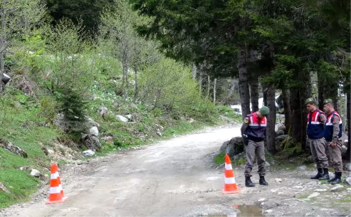 Rize\'de Yeşil Yol Çalışması Jandarma Eşliğinde Yeniden Başladı