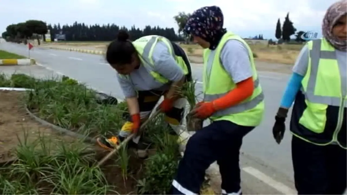 Burhaniye\' de Çevre Düzenlemesi Kadın Ellerinde