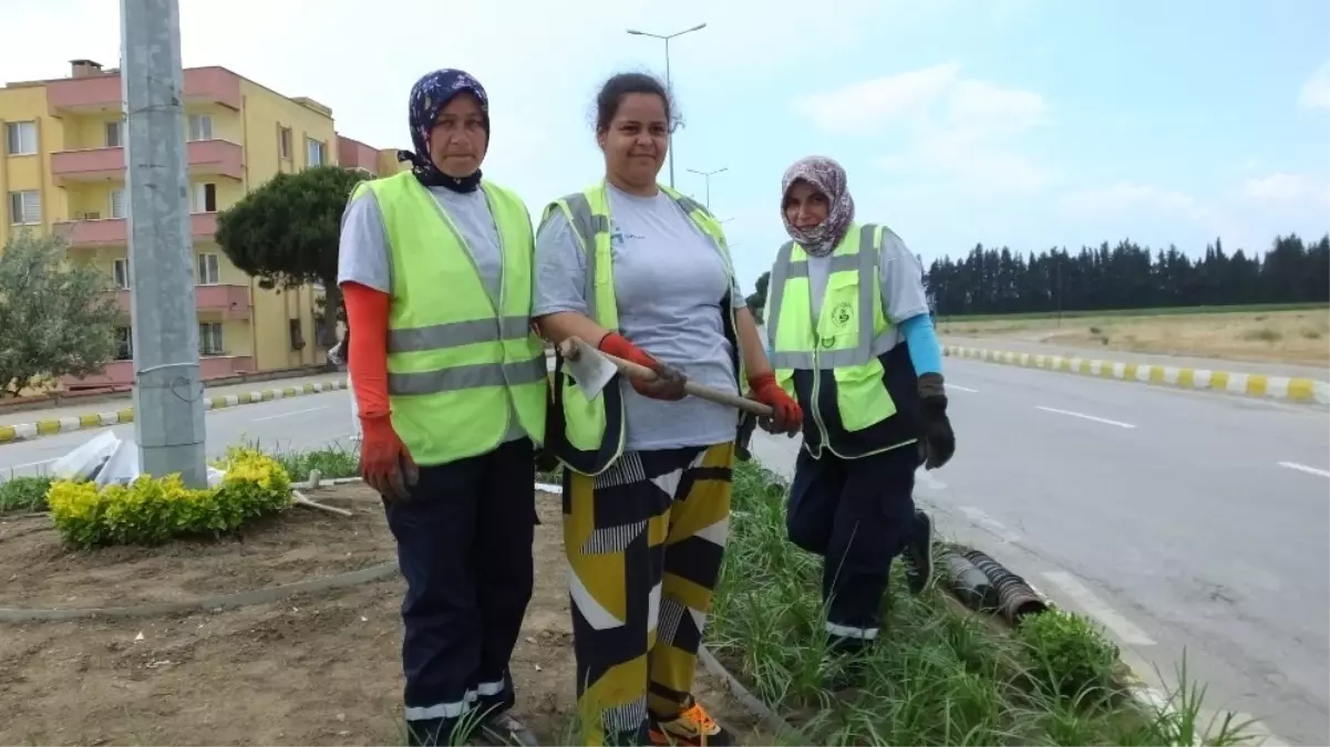 Burhaniye\' de Kavşakları Güzelleştiren Çiçekleri Kadınlar Dikiyor