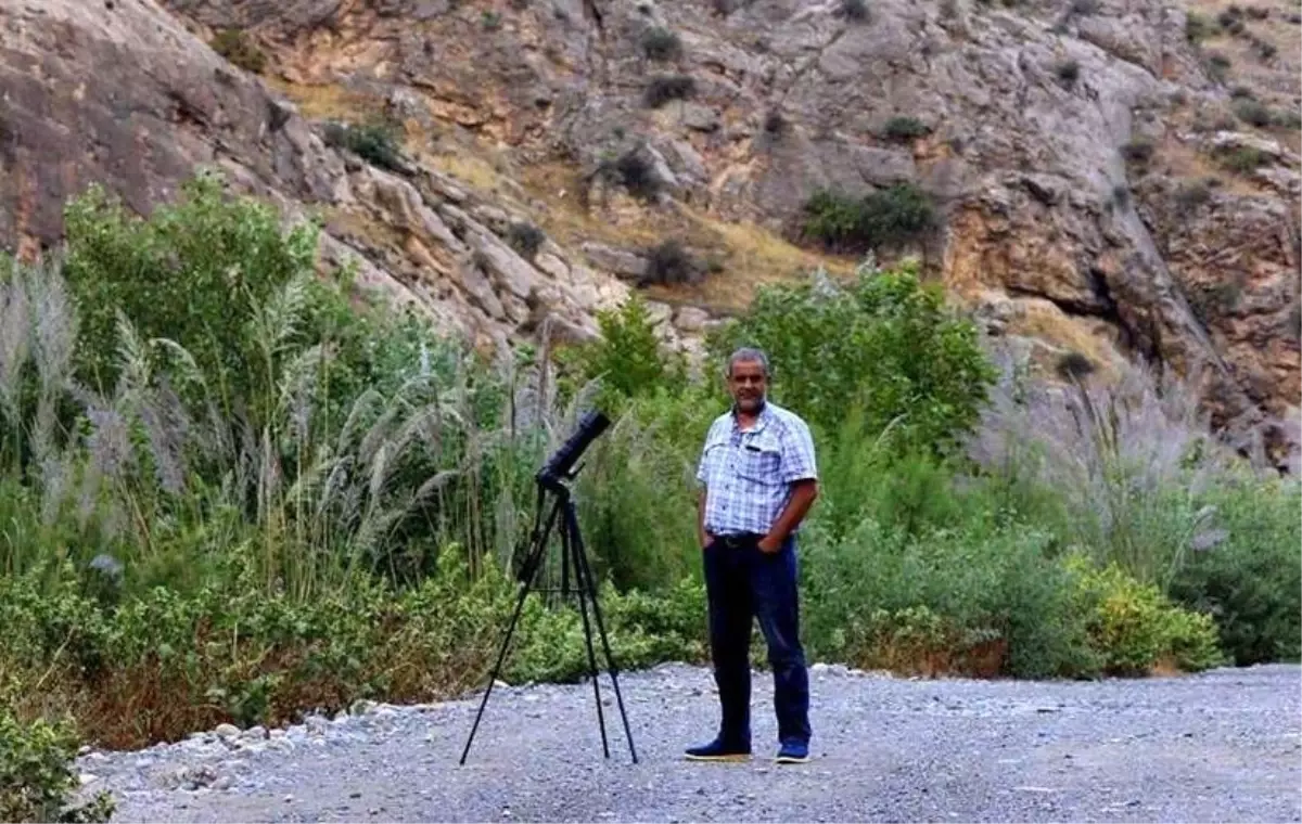 Kelebek Fotoğrafçısı Yollarda