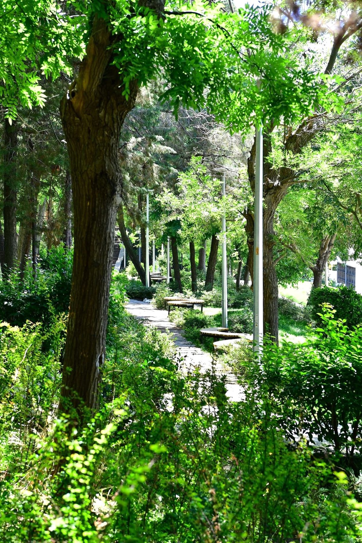 Şimdi daha "cici" oldu