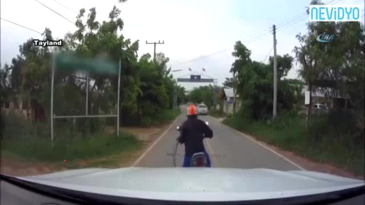 Yılandan Korkmak Yerine Yerden Yere Vurdu
