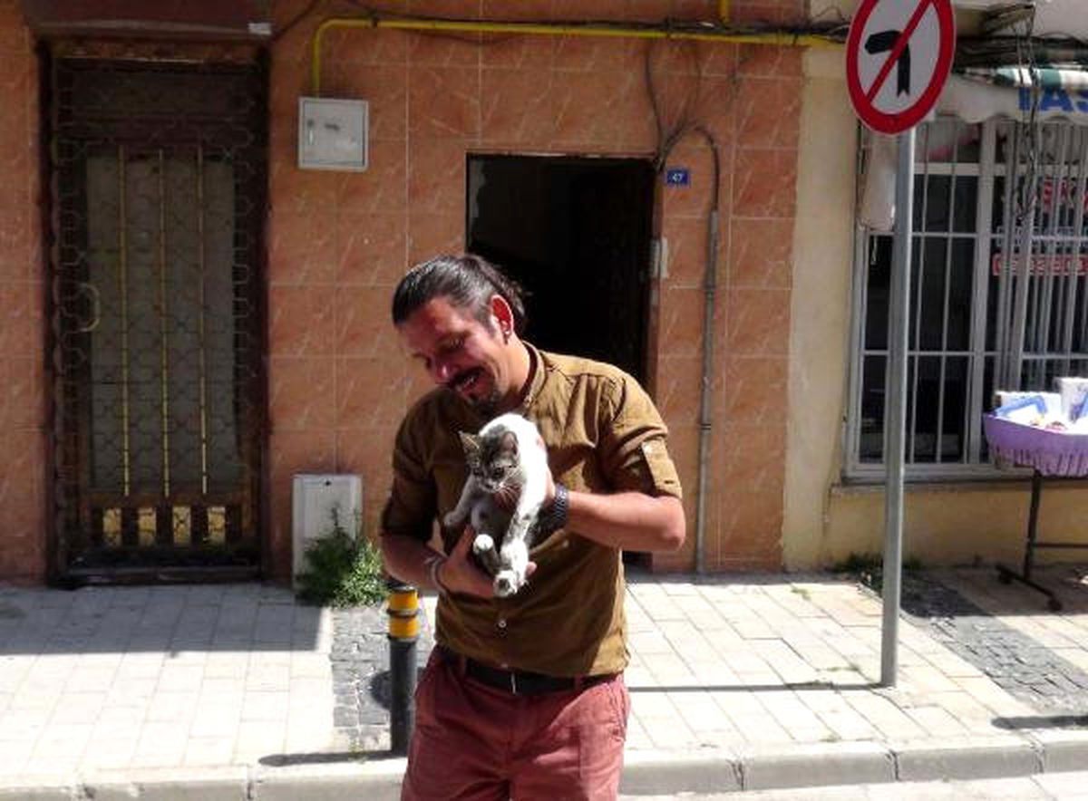 Çatıda Mahsur Kalan Kedi Kurtarıldı