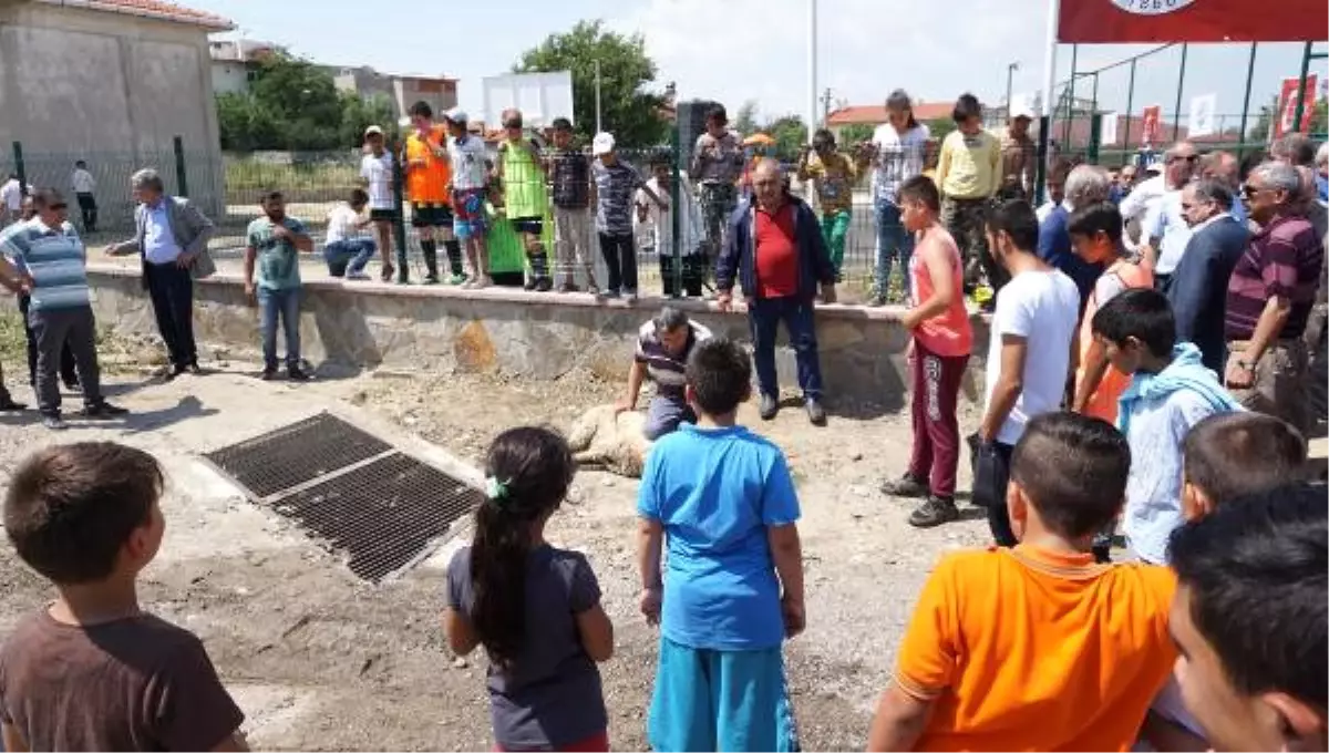 Semt Sahası Açılışında Kurban Kesilmesini Çocuklar İzledi