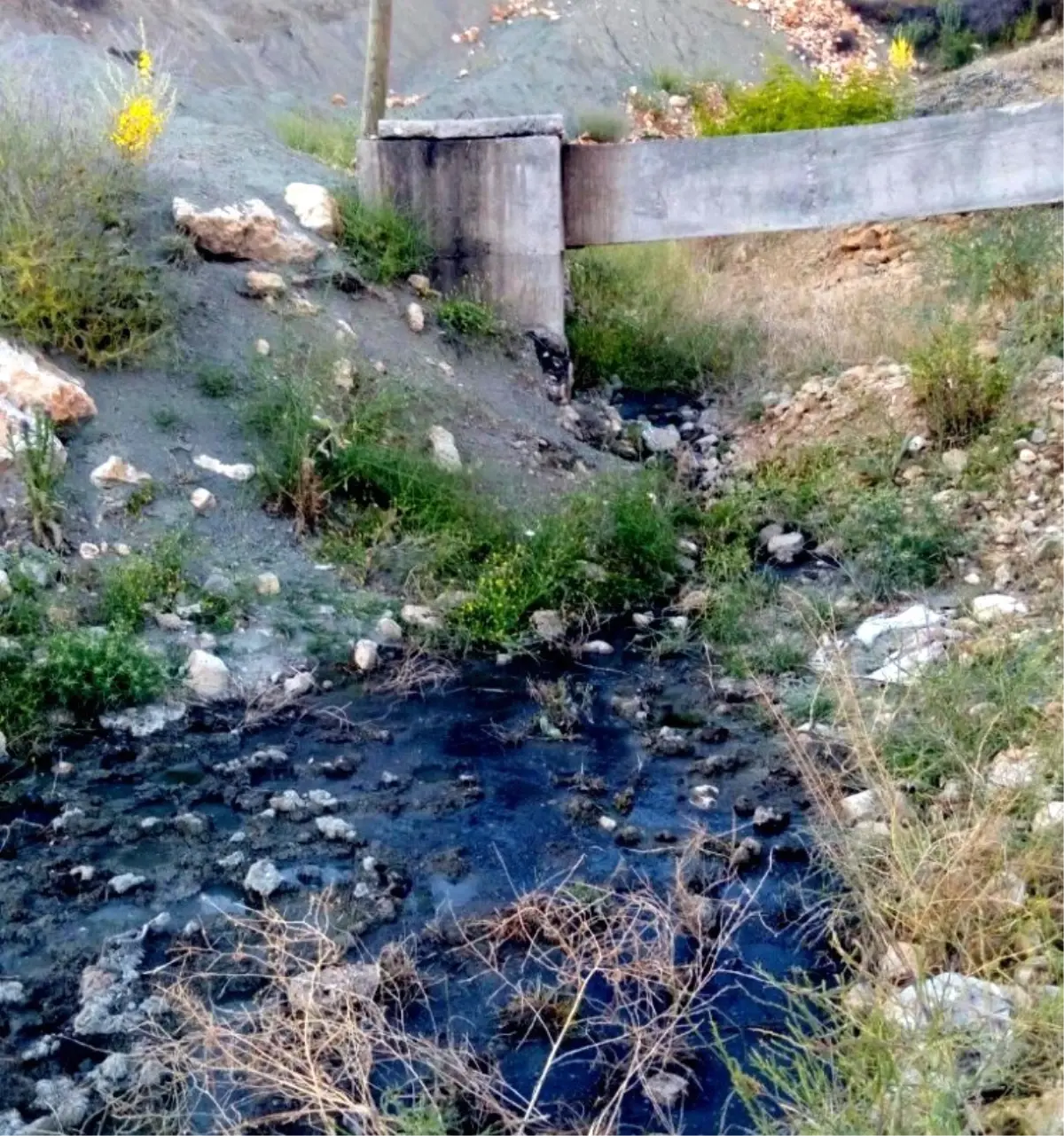 Açıktan Akan Kanalizasyon Tehlike Saçıyor