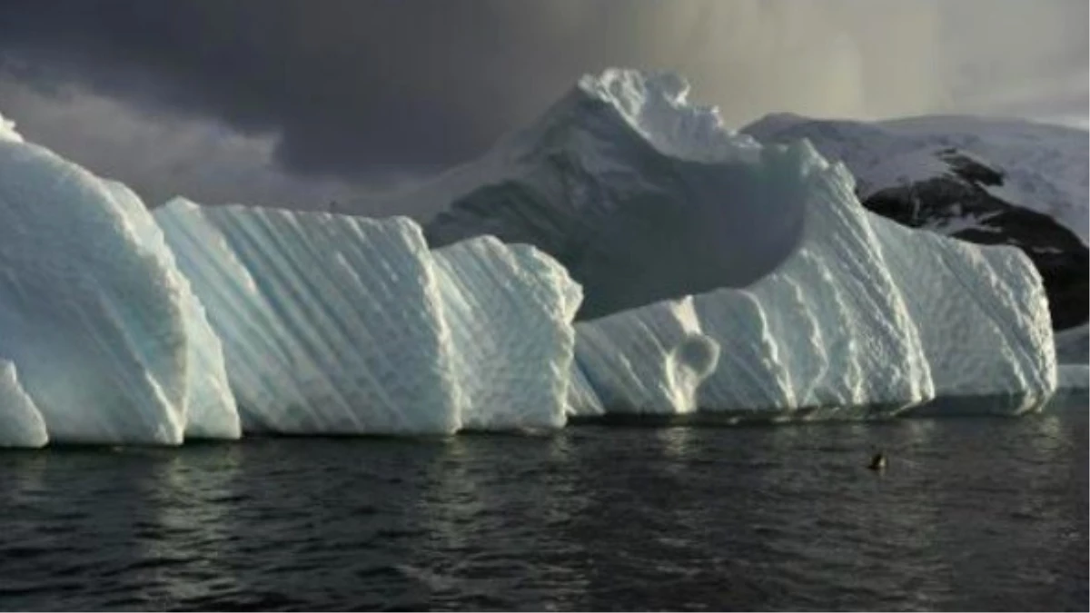 Dev Buzul, Antartika\'dan Koptu Kopacak