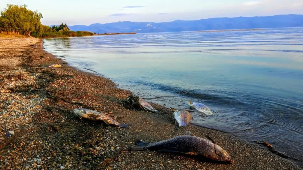 İznik Gölü\'nde Korkutan Manzara