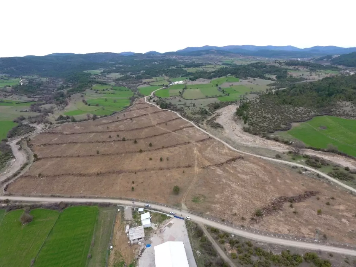 Kastamonu\'da 200 Dekarda Ceviz ve Badem Dikildi