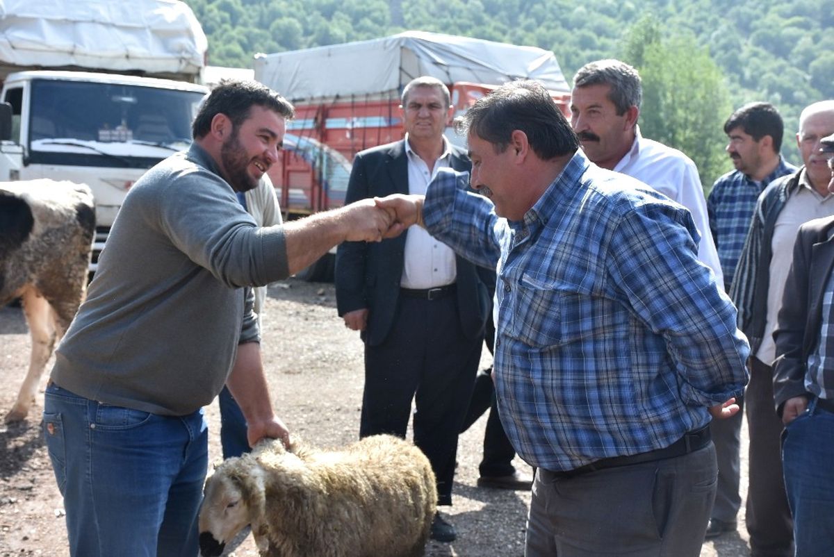 Kızılcahamam\'da Canlı Hayvan Pazarı Açıldı