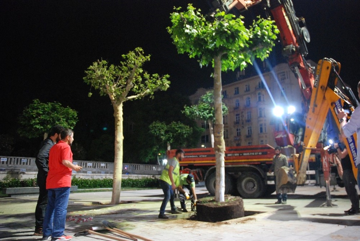 Taksim Meydanı Ağaçlandırılıyor