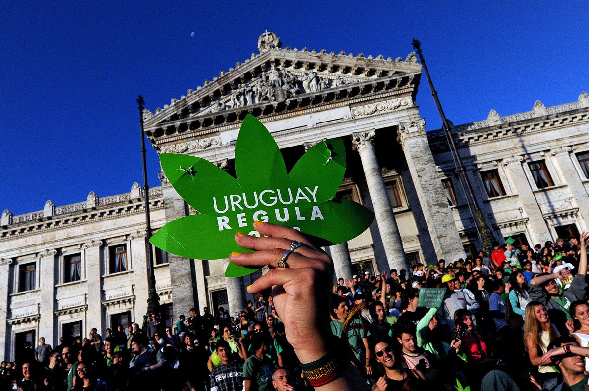 Uruguay Eczanelerde Esrar Satmaya Hazırlanıyor