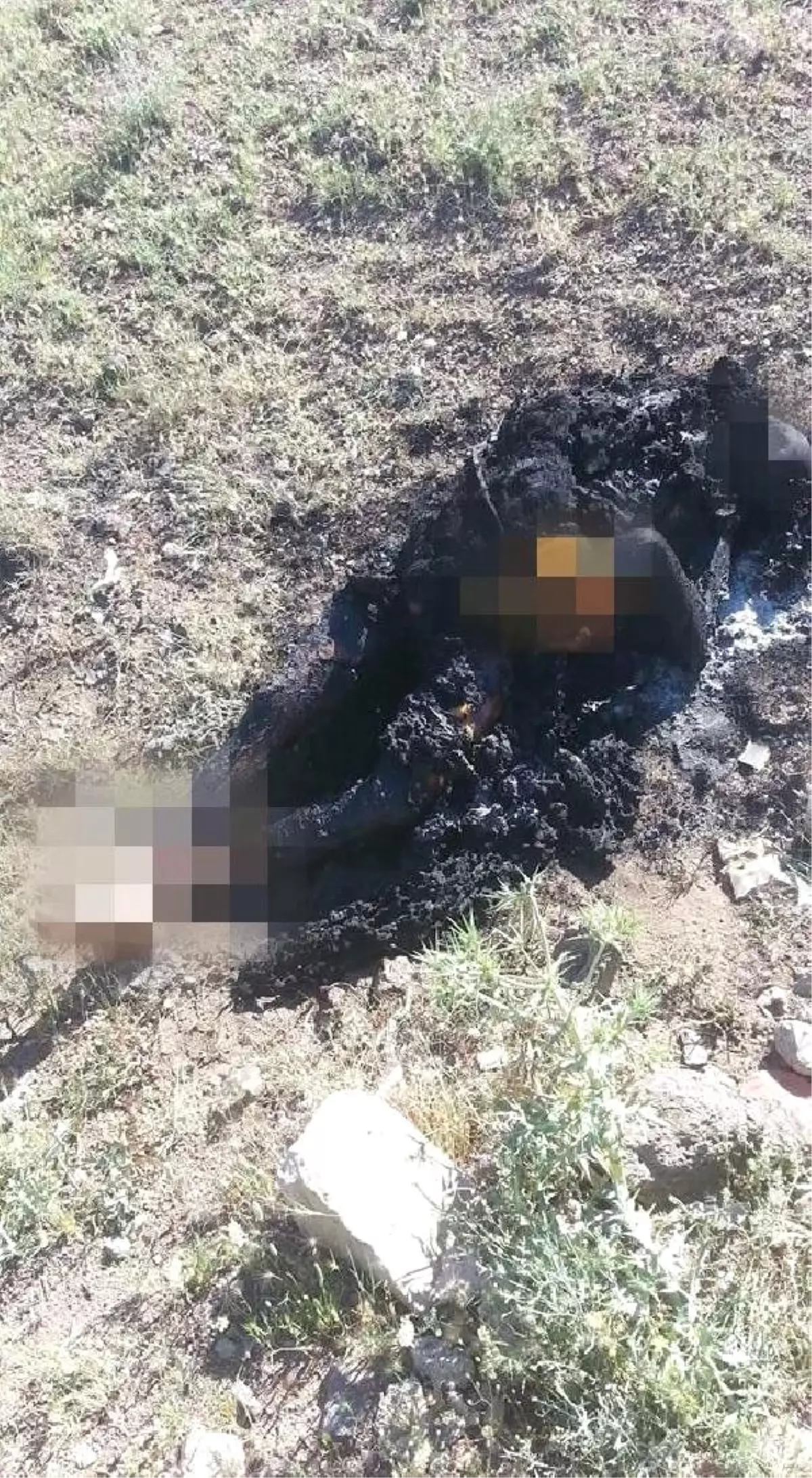 Elazığ\'da Yanmış Erkek Cesedi Bulundu