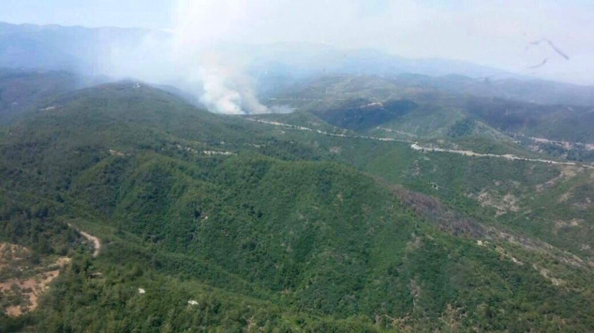Hatay\'da Orman Yangını