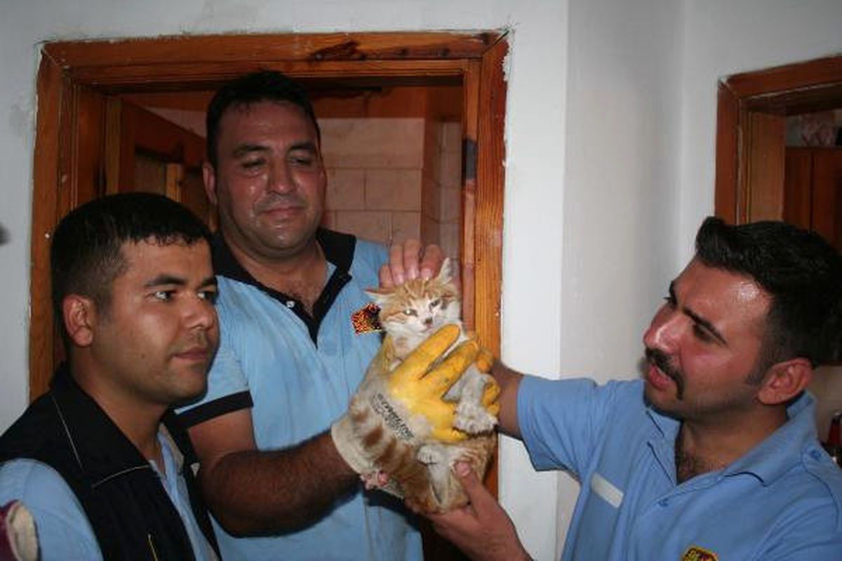 Havalandırma Boşluğuna Düşen Kediyi İtfaiye Kurtardı
