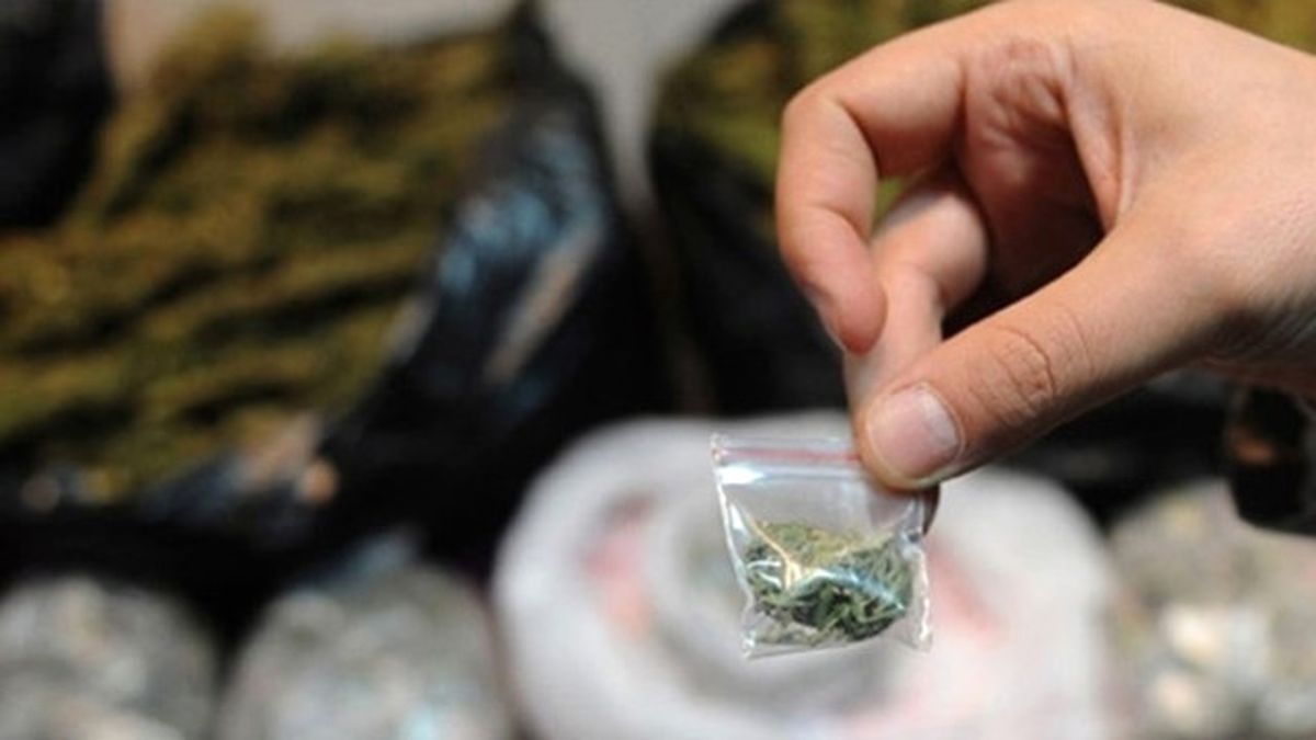 Sigara Jelatinine Sarılmış Bonzai Yakalandı